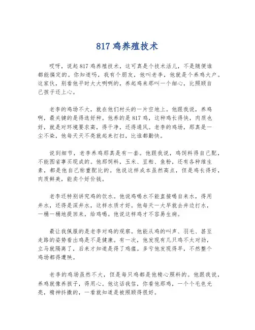 817鸡养殖技术