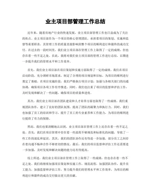 业主项目部管理工作总结