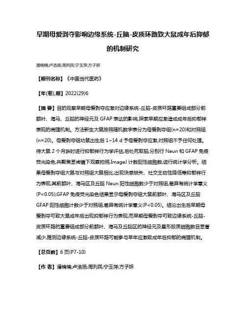 早期母爱剥夺影响边缘系统-丘脑-皮质环路致大鼠成年后抑郁的机制研究