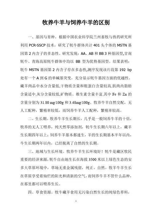 牧养牛羊与饲养牛羊的区别