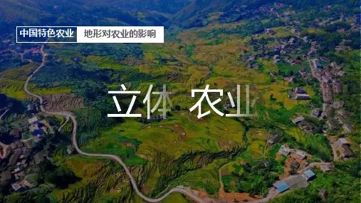 高中地理课件：立体农业