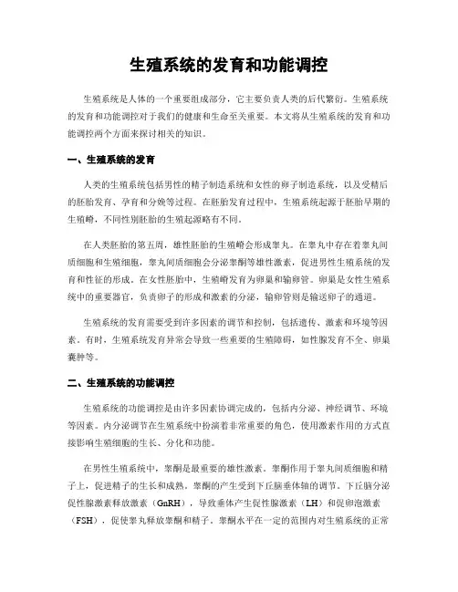生殖系统的发育和功能调控