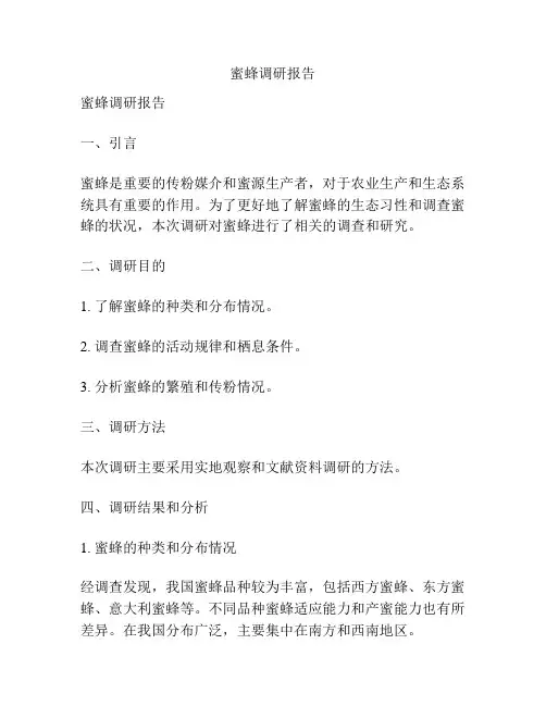 蜜蜂调研报告