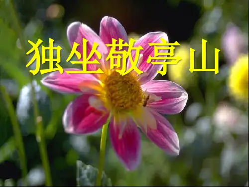 《独坐敬亭山》语文PPT课件(7篇)