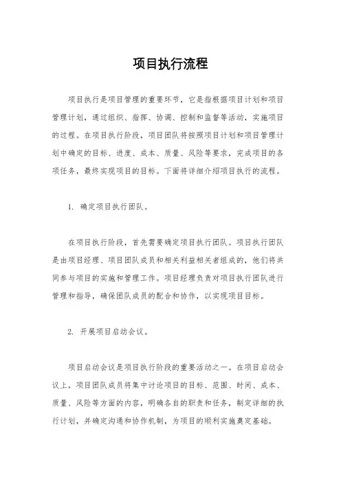 项目执行流程