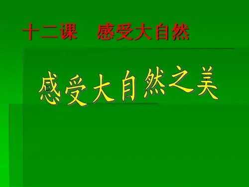 《感受大自然之美》课件  陈洪