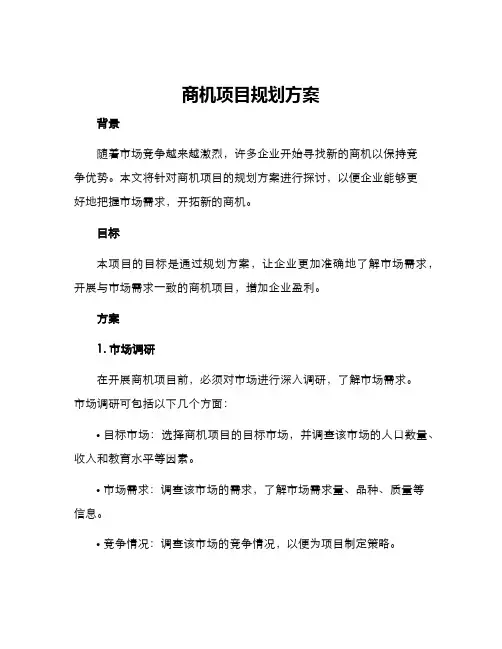 商机项目规划方案