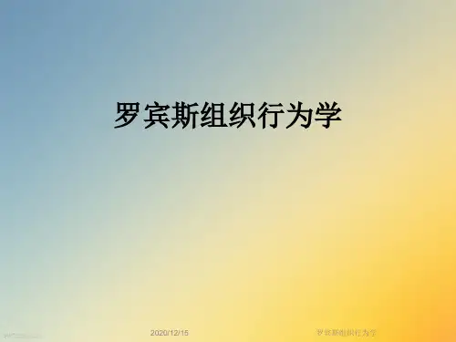罗宾斯组织行为学