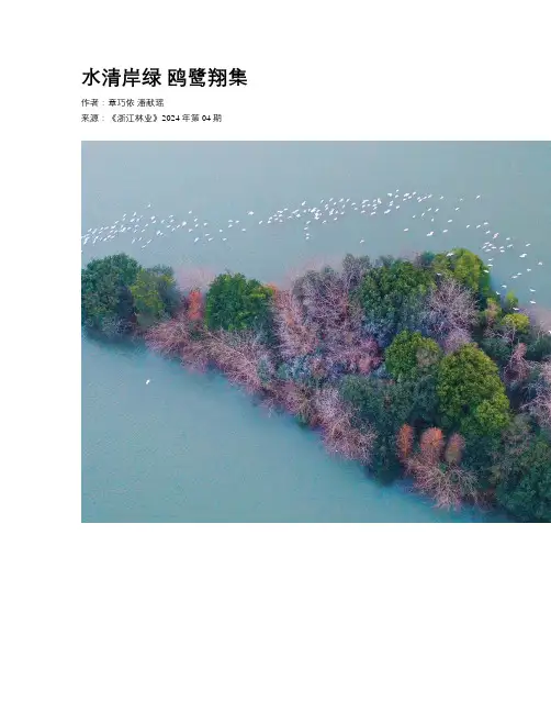 水清岸绿 鸥鹭翔集