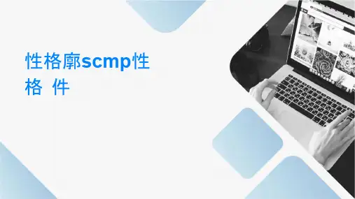 性格轮廓测试SCMP性格测试课件