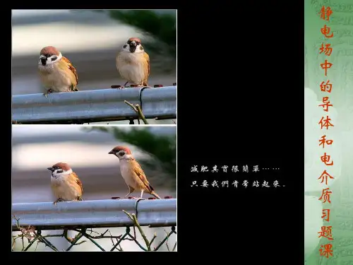 大学物理习题静电场中的导体和电介质习题课