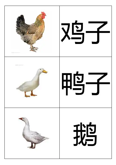 幼儿识字卡片配图：大全