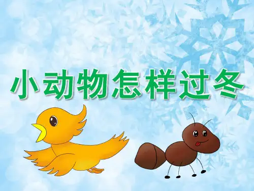 大班科学《小动物怎样过冬》PPT课件