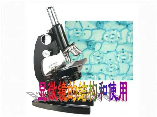 显微镜的结构和使用(陈)