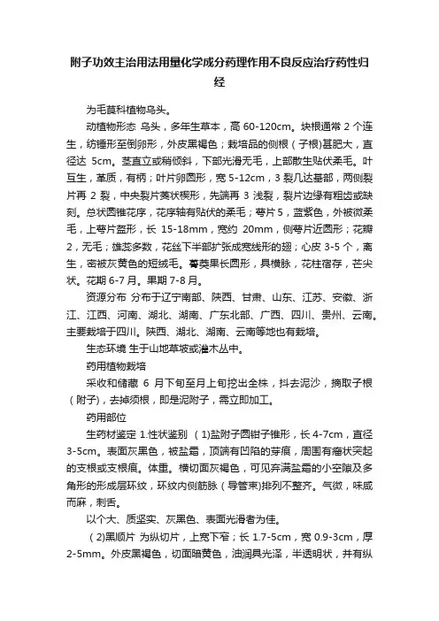 附子功效主治用法用量化学成分药理作用不良反应治疗药性归经
