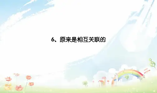 教科版小学六年级上册科学：4-6原来是相互关联的PPT课件