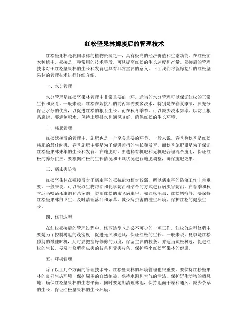 红松坚果林嫁接后的管理技术