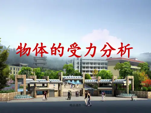 物体的受力分析