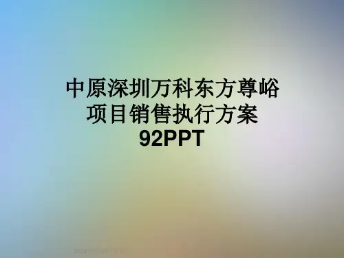 中原深圳万科东方尊峪项目销售执行方案92PPT