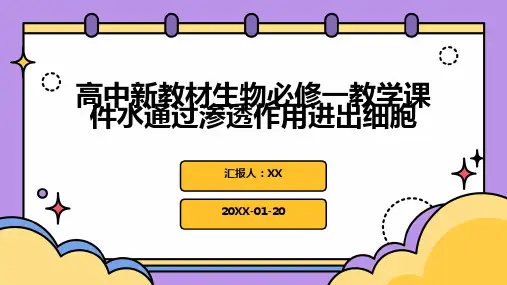 高中新教材生物必修一教学课件水通过渗透作用进出细胞