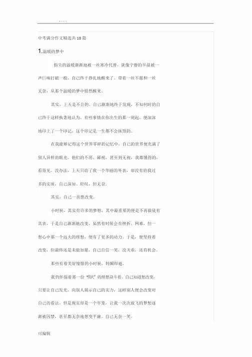 中考满分作文精选共10篇