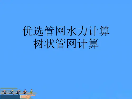 优选管网水力计算树状管网计算优PPT资料