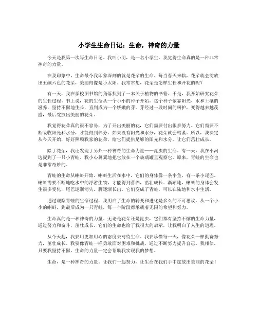 小学生生命日记：生命,神奇的力量