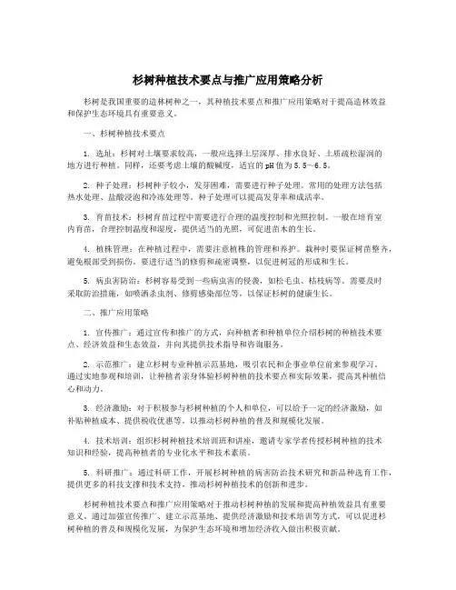 杉树种植技术要点与推广应用策略分析