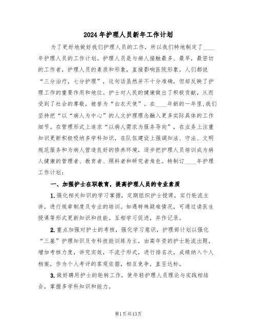 2024年护理人员新年工作计划（5篇）