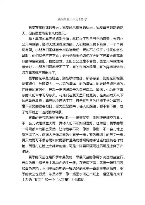 热闹的夏天作文800字_小学五年级作文_