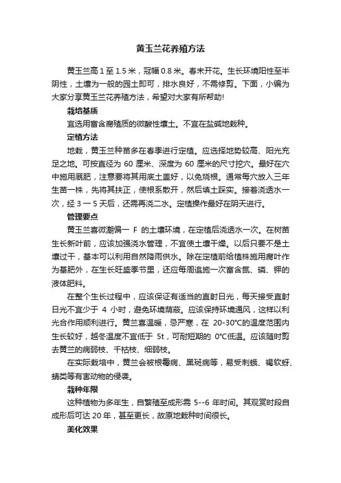 黄玉兰花养殖方法