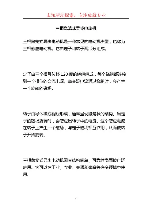 三相鼠笼式异步电动机