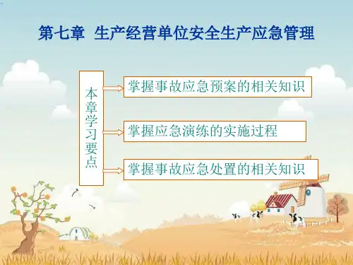 生产经营单位安全生产应急管理