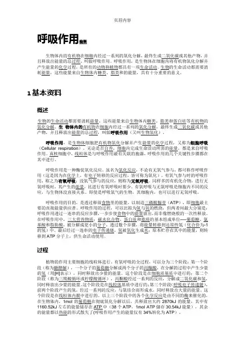 呼吸作用的全部过程