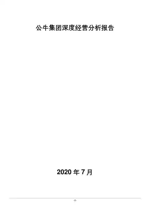 公牛集团深度经营分析报告