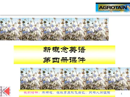 新概念英语第四册课件讲解
