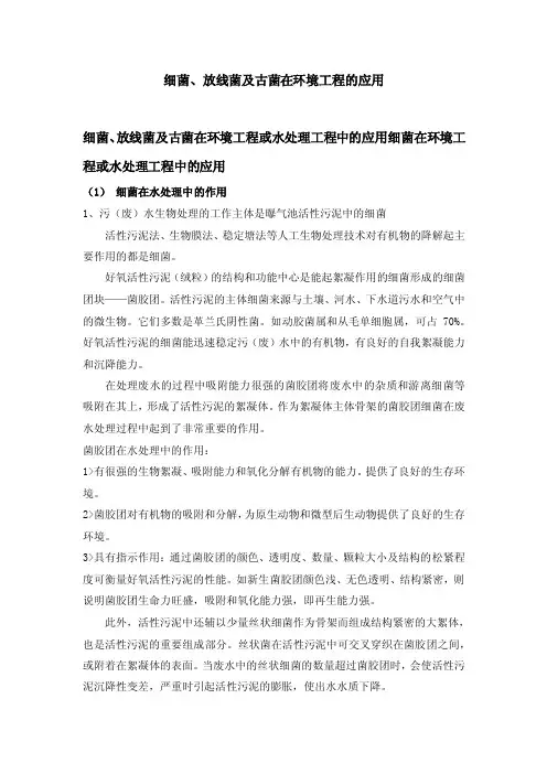 细菌、放线菌及古菌在环境工程中的作用
