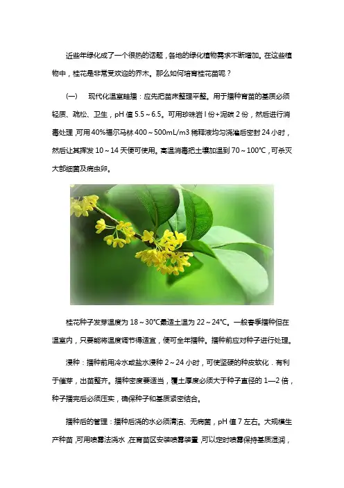 桂花的培育方法
