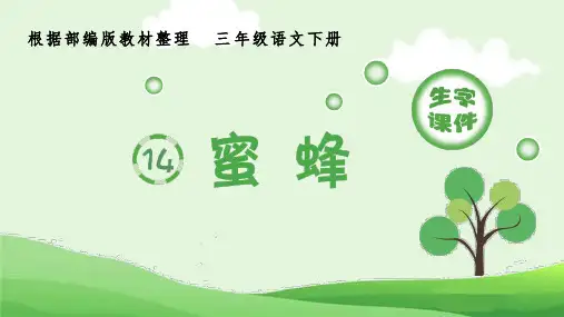 部编版小学语文三年级下册14《蜜蜂》生字课件