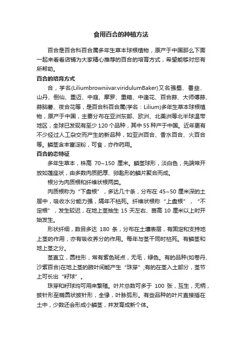 食用百合的种植方法