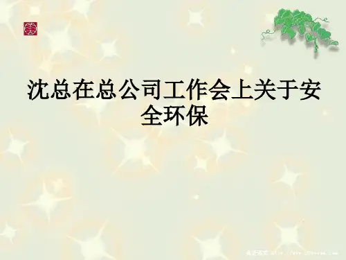 沈总在总公司工作会上关于安全环保PPT课件