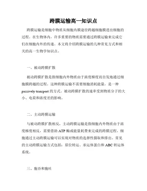 跨膜运输高一知识点