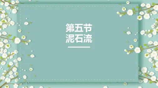 《泥石流》PPT免费课件