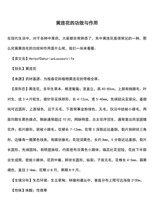黄连花的功效与作用【遴选文档】