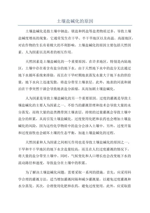 土壤盐碱化的原因
