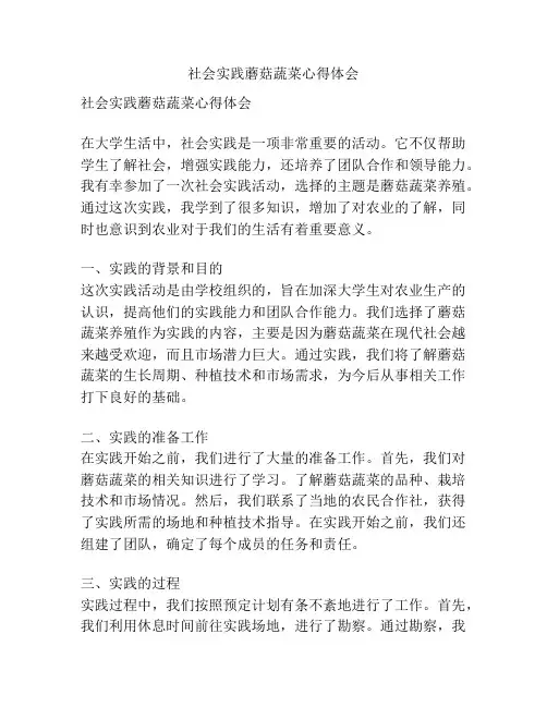 社会实践蘑菇蔬菜心得体会