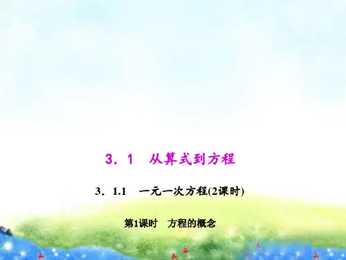 3.1.1.1 方程的概念 公开课课件