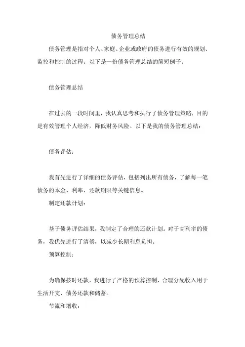 债务管理总结