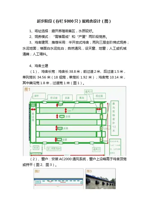 起步阶段（存栏5000只）蛋鸡舍设计（图）