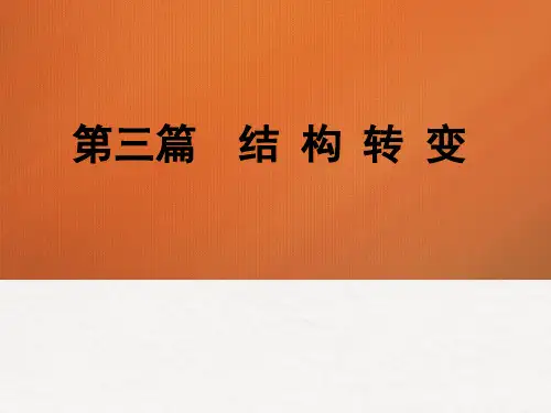 第九章  城市化与城乡发展  (《发展经济学》PPT课件)